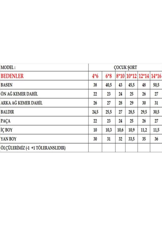 4-16 Yaş Su İtici Özellikli Dijital Baskılı Çocuk Deniz Şort Mayo - 1025-Mavi - 6