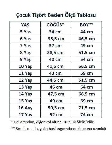 Gri Kısa Kol Düz Yakalı 6-16 Yaş Çocuk Okul Lakos Tişört T-shirt - 80238-Gri - 4